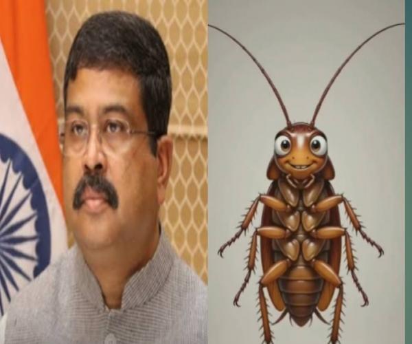 नीट पेपर लीक मामला,केंद्रीय शिक्षा मंत्री धर्मेंद्र प्रधान ने दिया अपने पद से इस्तीफा